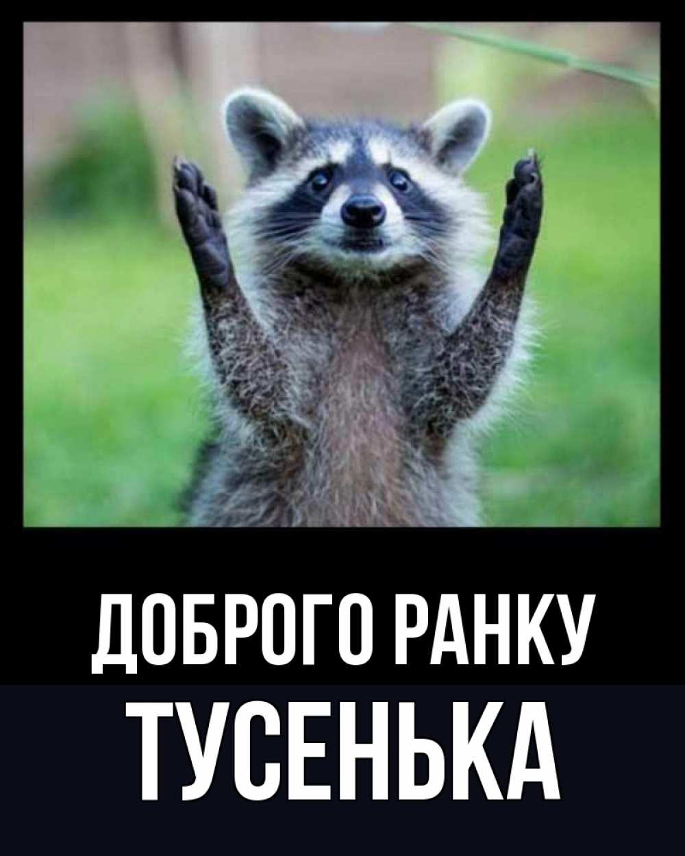 Открытка на каждый день з підписом, Тусенька Доброго ранку хорошее настроение утречком Прикольна листівка з побажанням онлайн скачати безкоштовно 