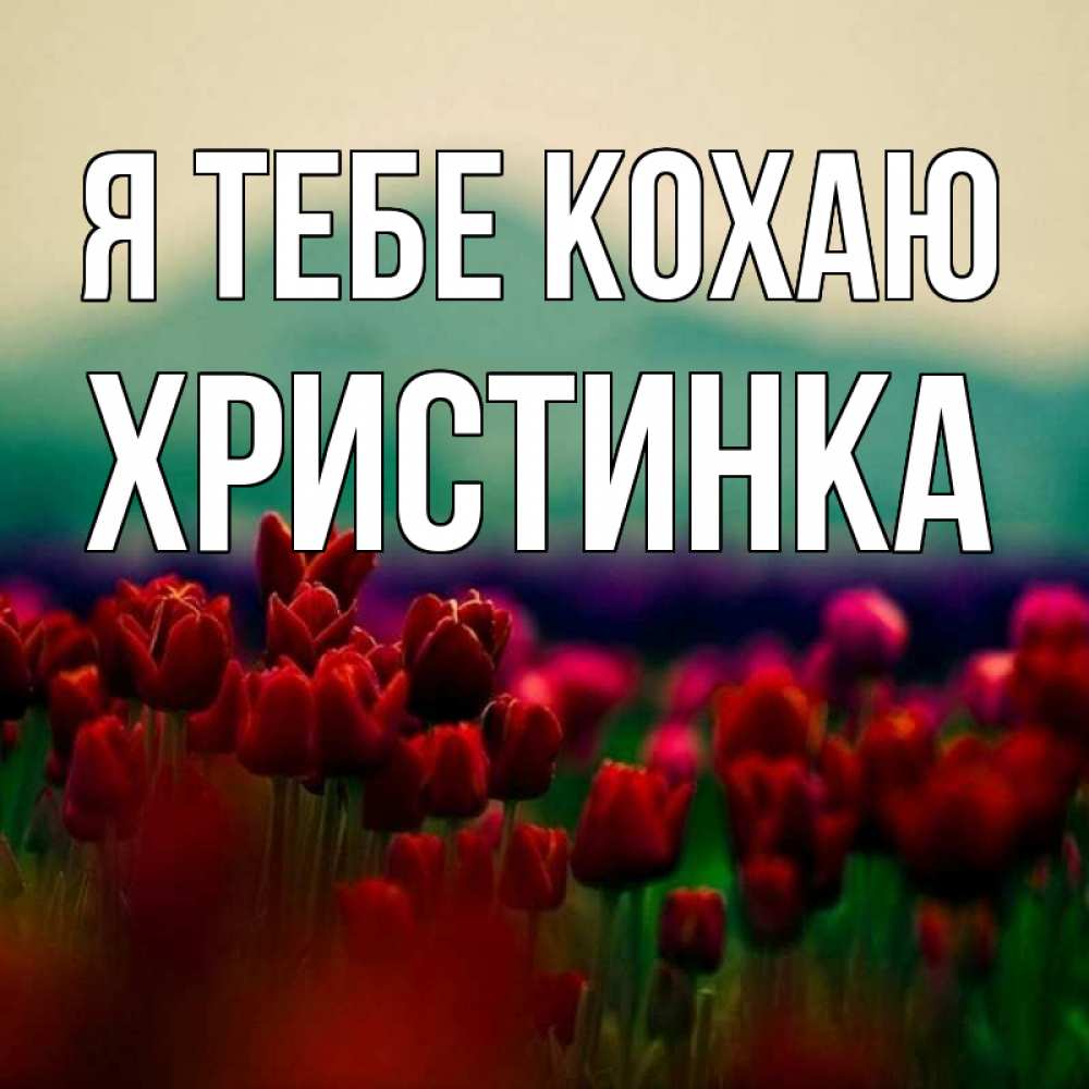 Открытка на каждый день з підписом, Христинка Я тебе кохаю тюльпаны 4 Прикольна листівка з побажанням онлайн скачати безкоштовно 