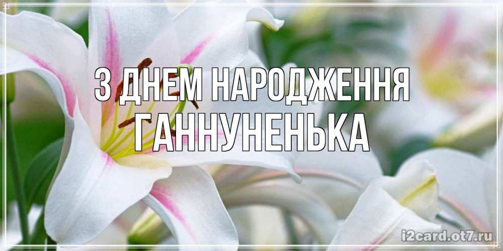 Открытка на каждый день з підписом, Ганнуненька З Днем народження открытка с белой лилией Прикольна листівка з побажанням онлайн скачати безкоштовно 