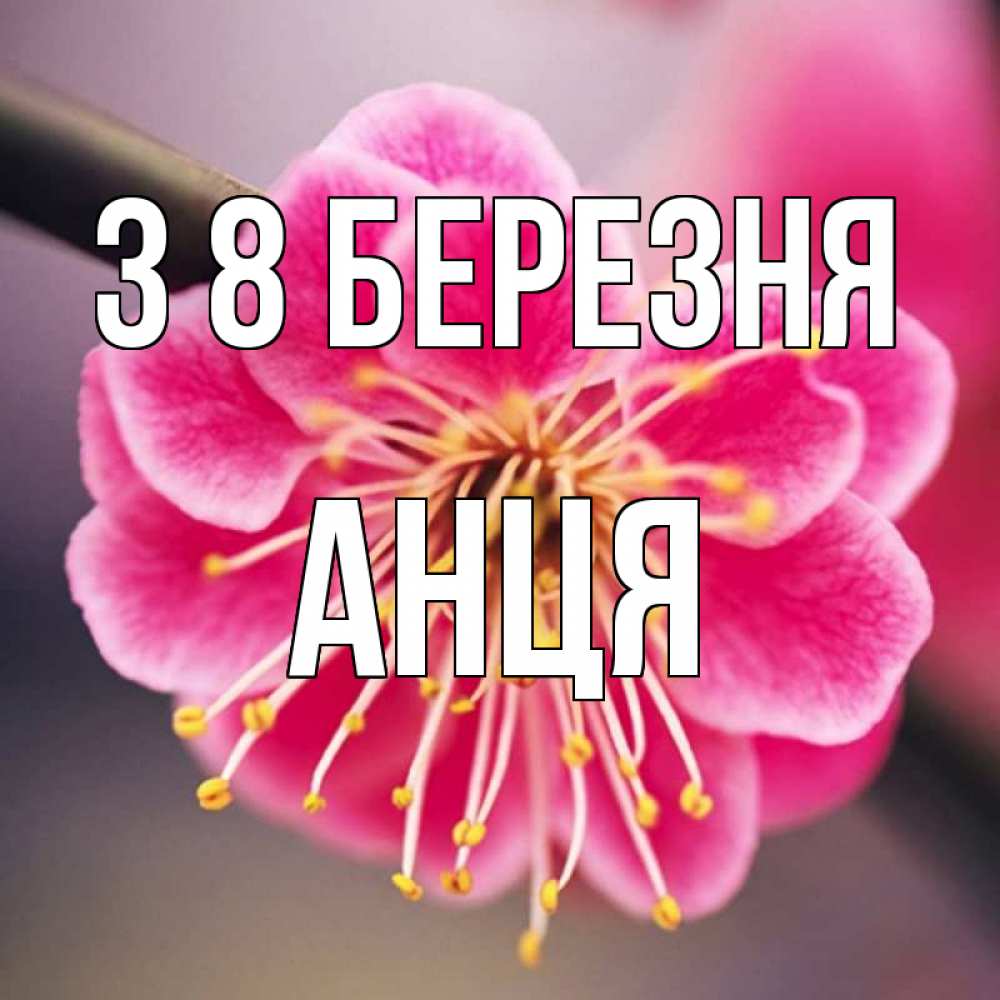 Открытка на каждый день з підписом, Анця З 8 БЕРЕЗНЯ цветы Прикольна листівка з побажанням онлайн скачати безкоштовно 