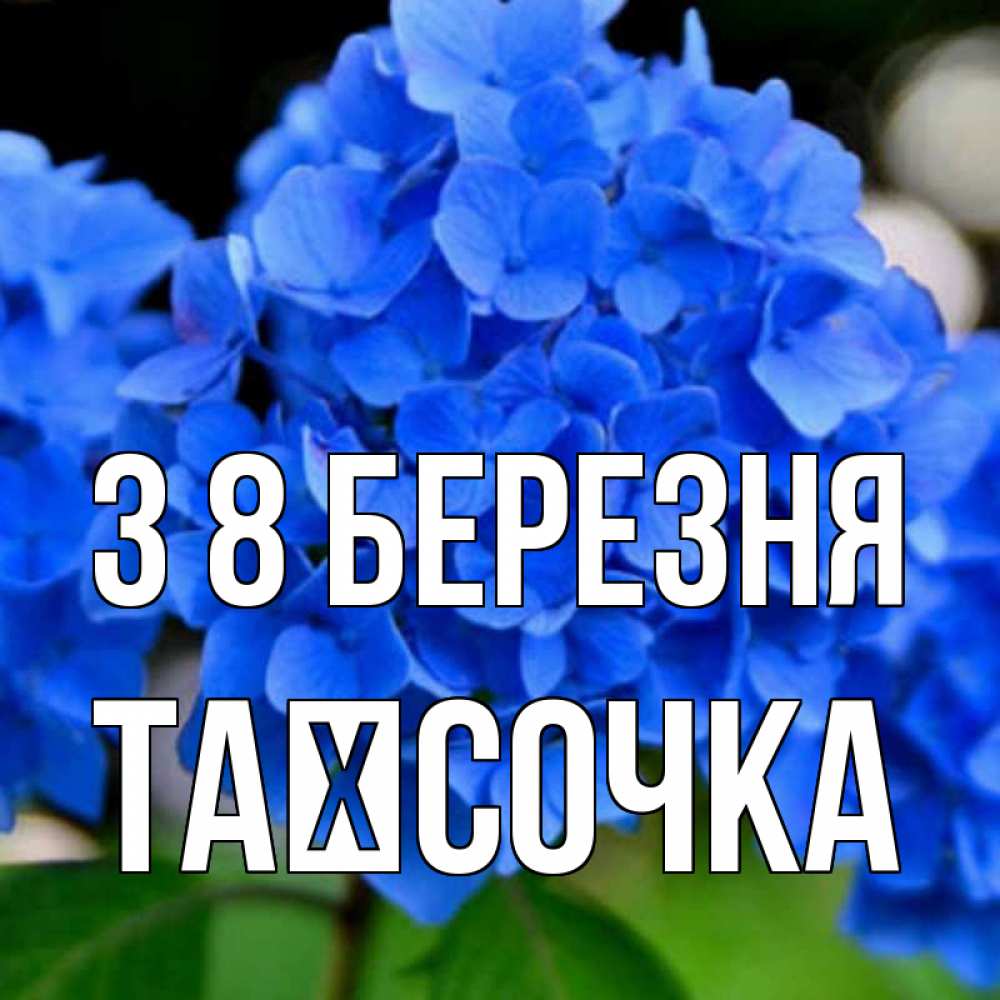 Открытка на каждый день з підписом, Таїсочка З 8 БЕРЕЗНЯ синие цветы Прикольна листівка з побажанням онлайн скачати безкоштовно 