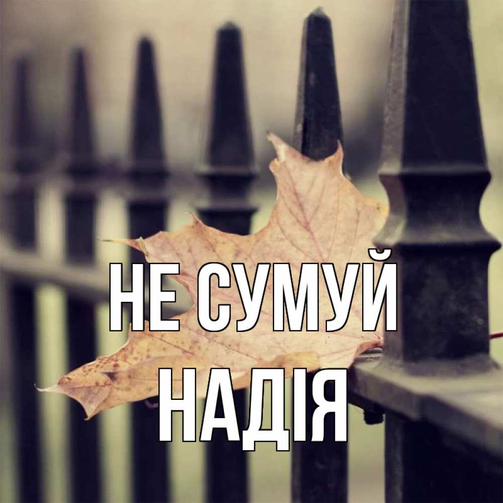 Открытка на каждый день з підписом, Надія Не сумуй лист клена Прикольна листівка з побажанням онлайн скачати безкоштовно 