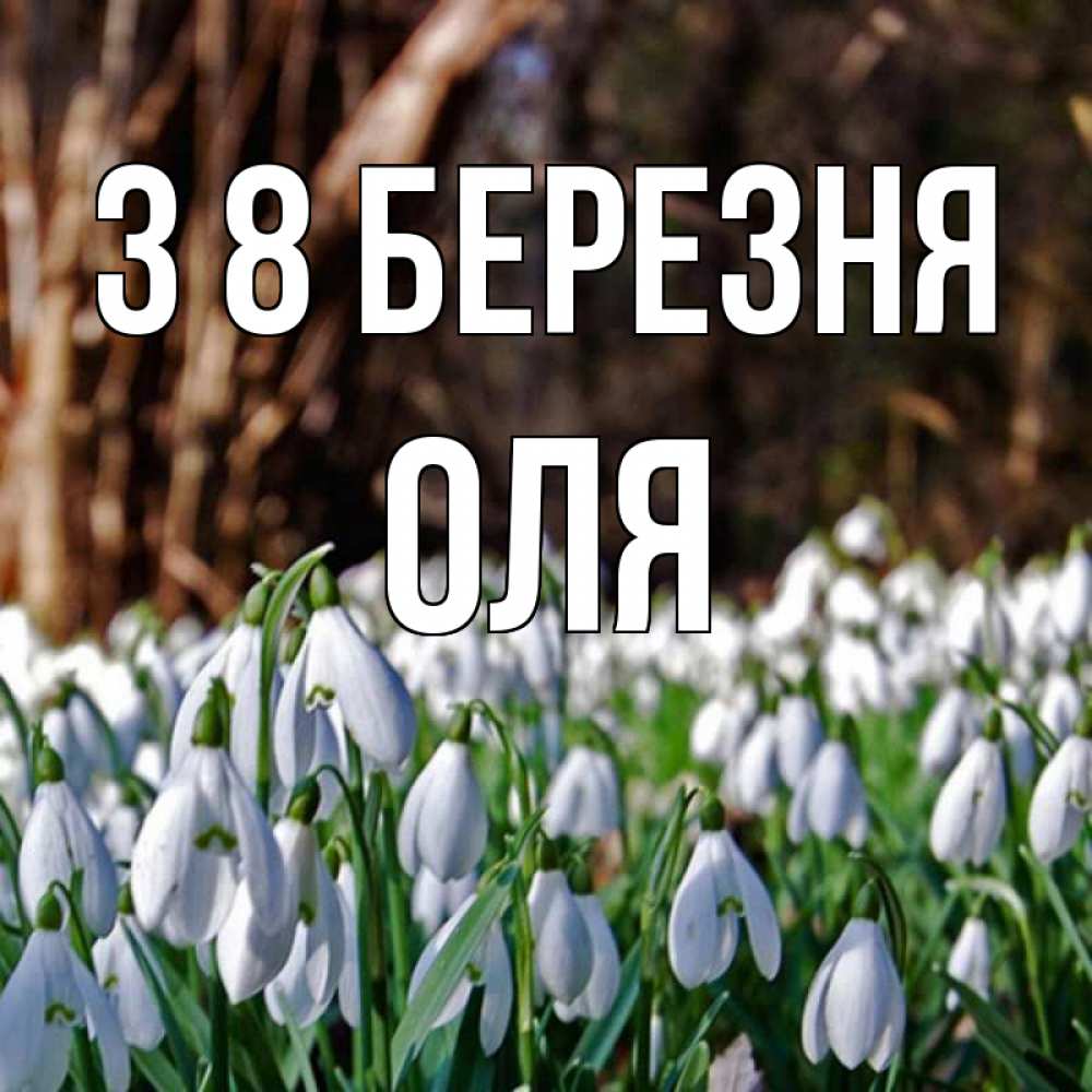 Открытка на каждый день з підписом, Оля З 8 БЕРЕЗНЯ с подснежниками 1 Прикольна листівка з побажанням онлайн скачати безкоштовно 