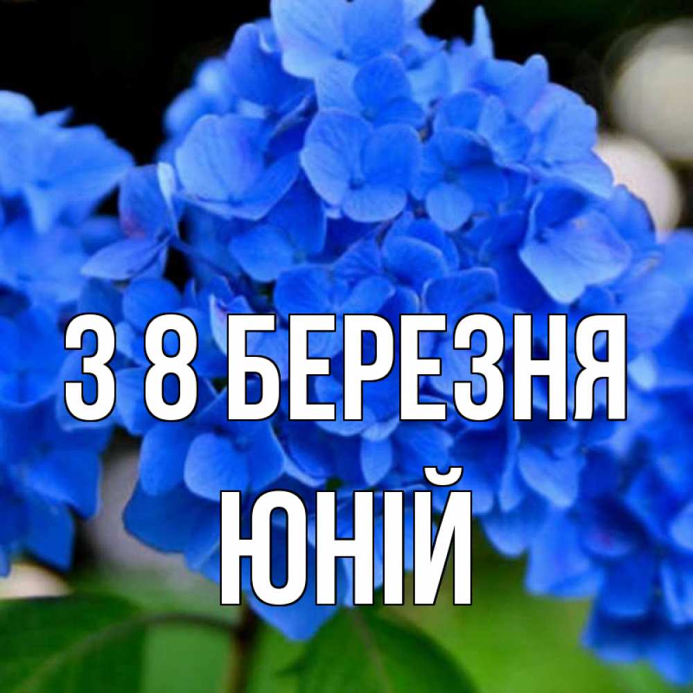 Открытка на каждый день з підписом, Юній З 8 БЕРЕЗНЯ синие цветы Прикольна листівка з побажанням онлайн скачати безкоштовно 