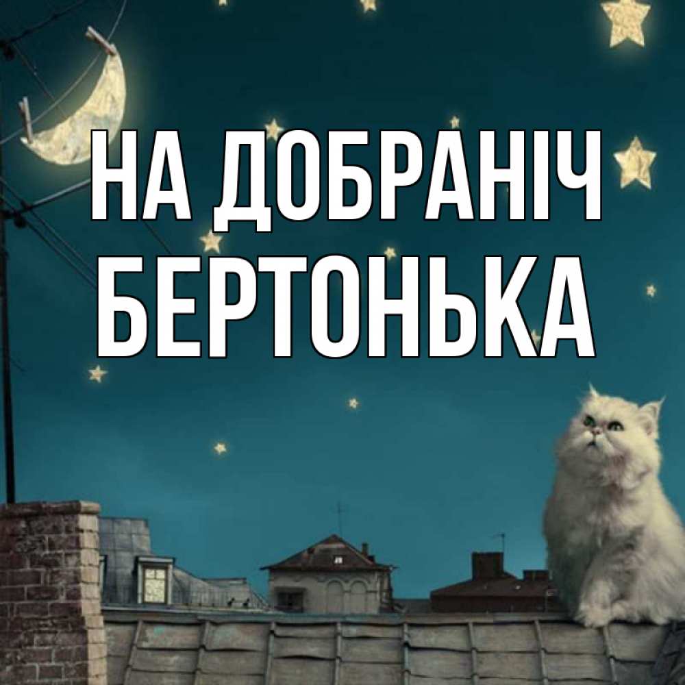 Открытка на каждый день з підписом, Бертонька На добраніч белый кот сидит на крыше Прикольна листівка з побажанням онлайн скачати безкоштовно 