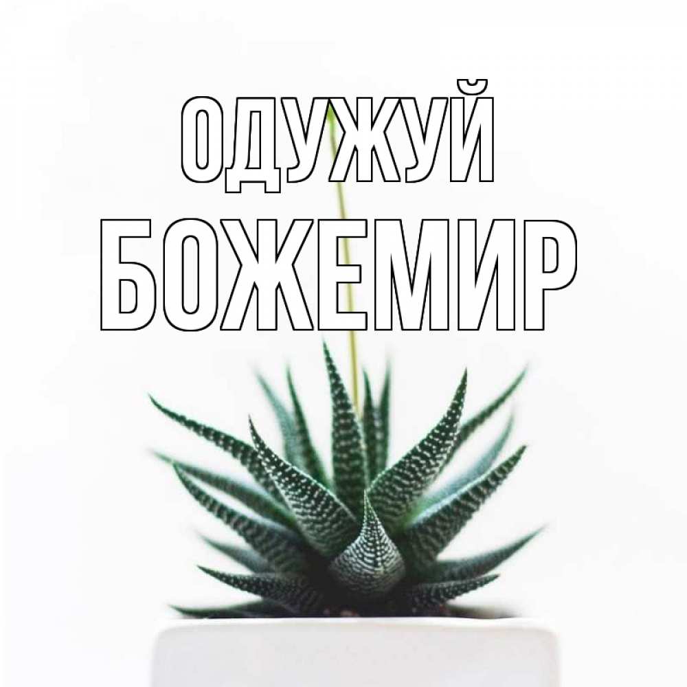 Открытка на каждый день з підписом, Божемир Одужуй короче это непонятная колючка Прикольна листівка з побажанням онлайн скачати безкоштовно 