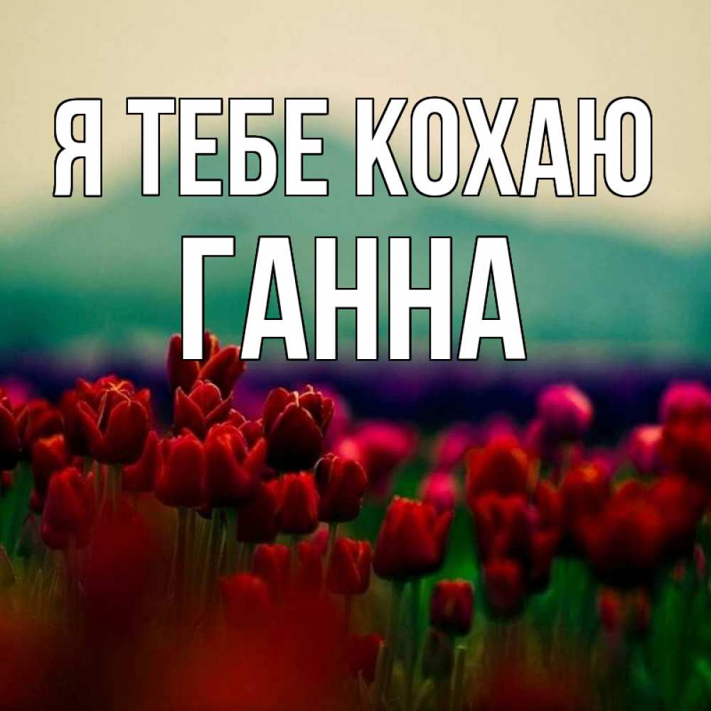 Открытка на каждый день з підписом, Ганна Я тебе кохаю тюльпаны 4 Прикольна листівка з побажанням онлайн скачати безкоштовно 