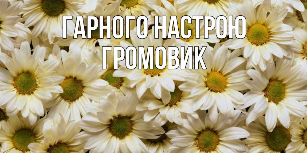 Открытка на каждый день з підписом, Громовик Гарного настрою крупные ромашки Прикольна листівка з побажанням онлайн скачати безкоштовно 