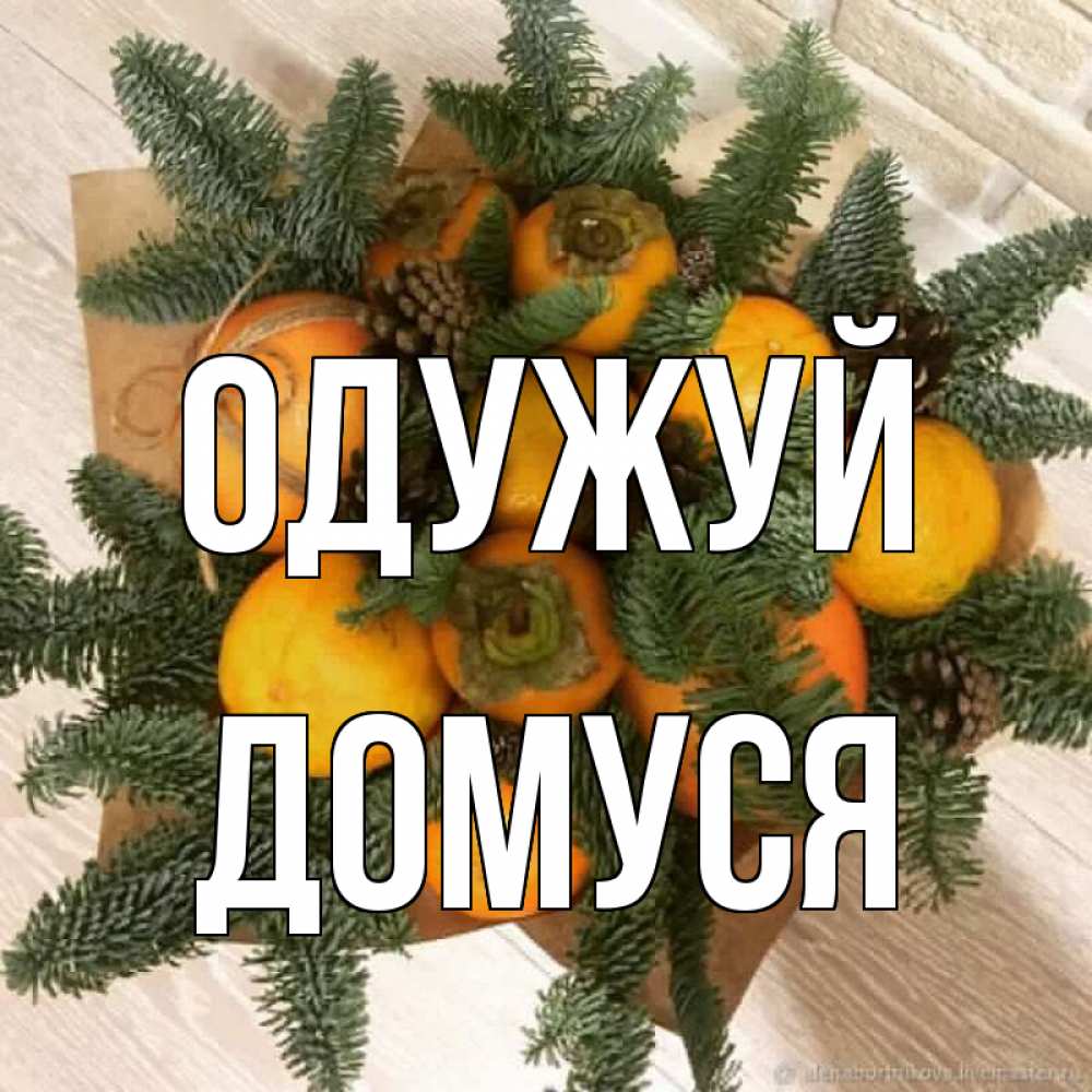 Открытка на каждый день з підписом, Домуся Одужуй апельсины и хурьма Прикольна листівка з побажанням онлайн скачати безкоштовно 