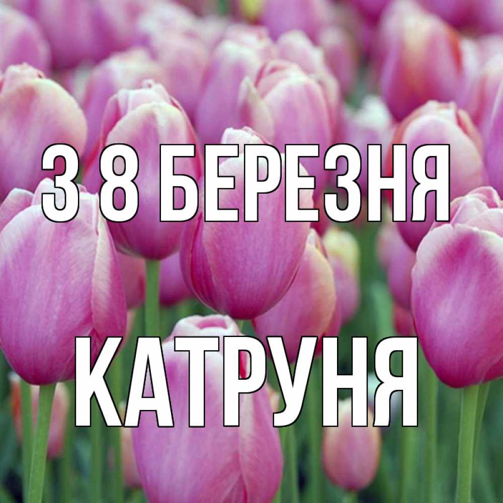 Открытка на каждый день з підписом, Катруня З 8 БЕРЕЗНЯ на международный женский день 3 Прикольна листівка з побажанням онлайн скачати безкоштовно 