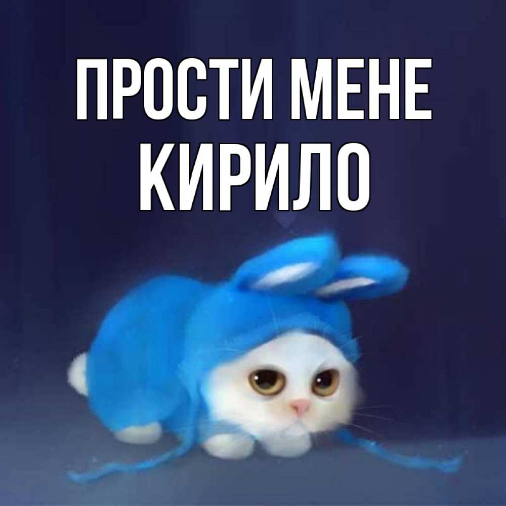 Открытка на каждый день з підписом, Кирило Прости мене невинный котозай просит прощения Прикольна листівка з побажанням онлайн скачати безкоштовно 