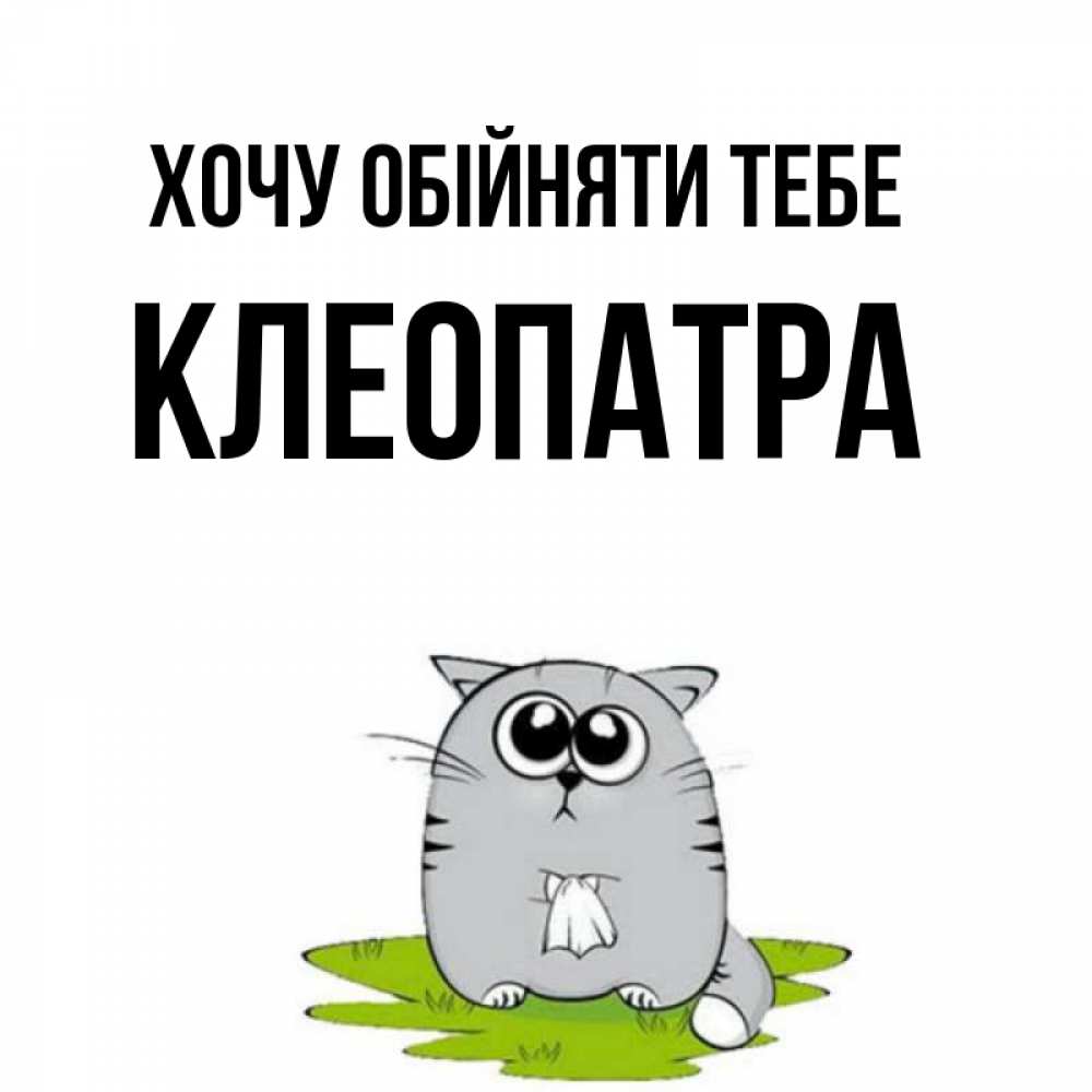 Открытка на каждый день з підписом, Клеопатра Хочу обійняти тебе котик теребит платочек сидя на травке Прикольна листівка з побажанням онлайн скачати безкоштовно 
