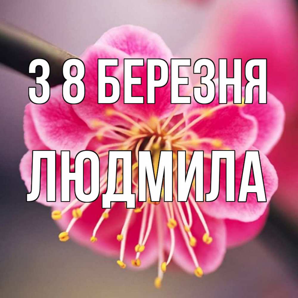 Открытка на каждый день з підписом, Людмила З 8 БЕРЕЗНЯ цветы Прикольна листівка з побажанням онлайн скачати безкоштовно 