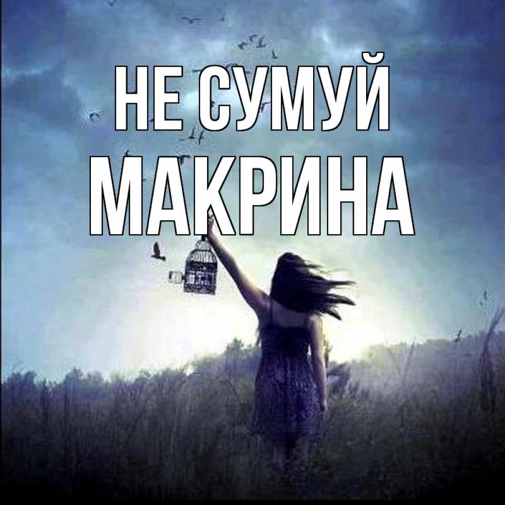 Открытка на каждый день з підписом, Макрина Не сумуй на волю Прикольна листівка з побажанням онлайн скачати безкоштовно 
