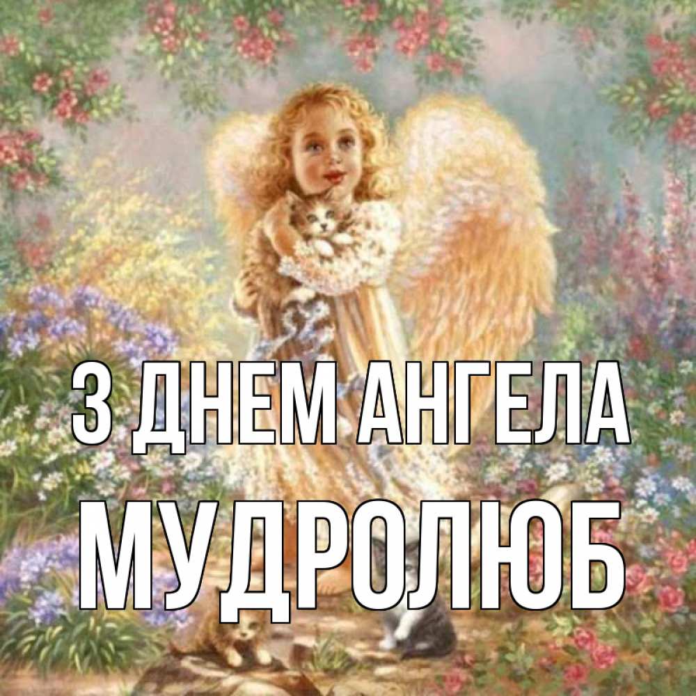 Открытка на каждый день з підписом, Мудролюб З Днем ангела держит котенка Прикольна листівка з побажанням онлайн скачати безкоштовно 