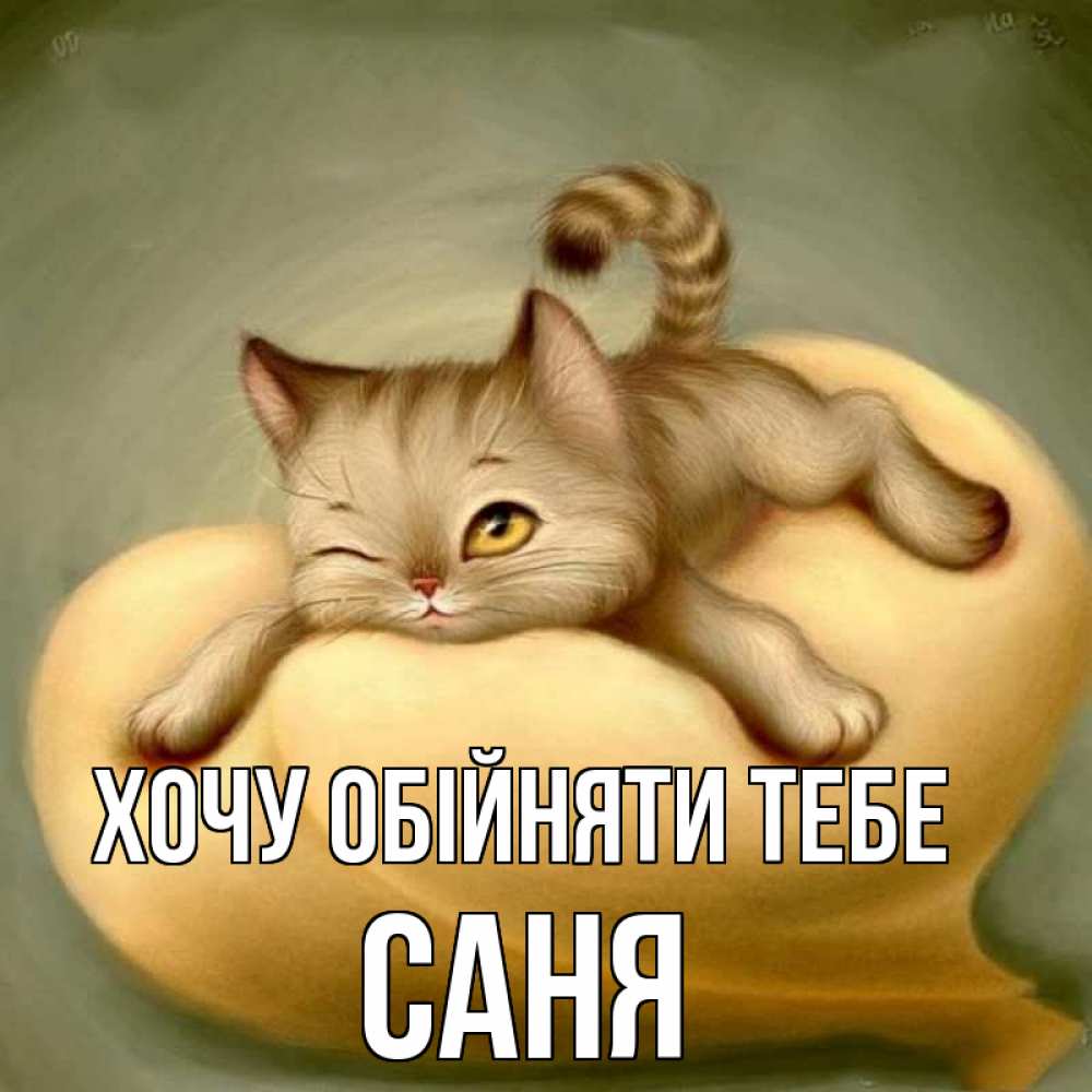 Открытка на каждый день з підписом, Саня Хочу обійняти тебе кошечка Прикольна листівка з побажанням онлайн скачати безкоштовно 