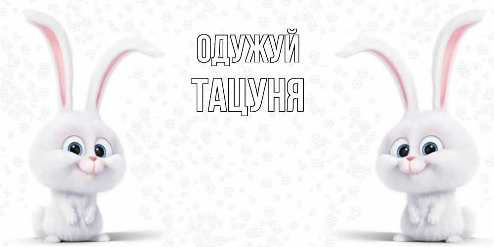 Открытка на каждый день з підписом, Тацуня Одужуй не болей с зайцем Прикольна листівка з побажанням онлайн скачати безкоштовно 