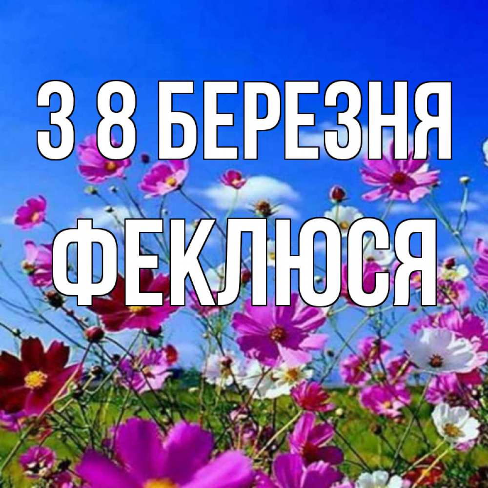 Открытка на каждый день з підписом, Феклюся З 8 БЕРЕЗНЯ цветы Прикольна листівка з побажанням онлайн скачати безкоштовно 