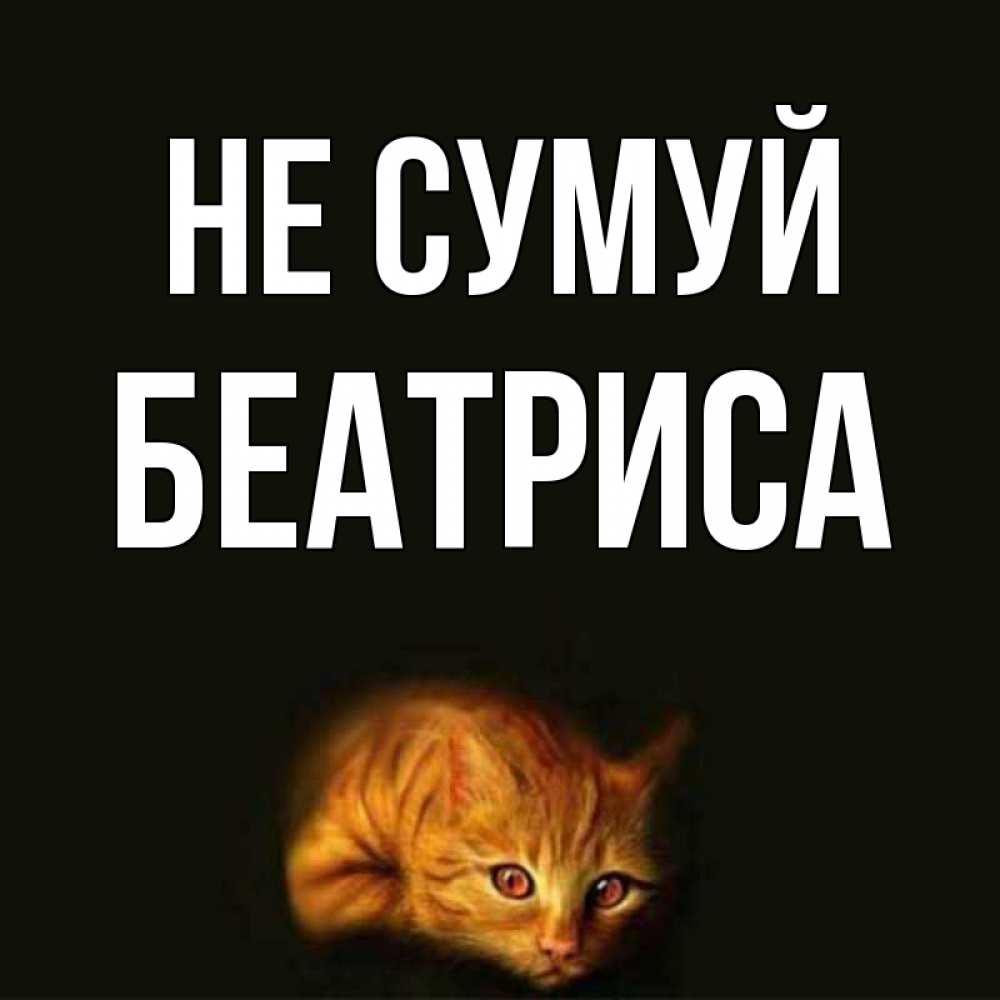 Открытка на каждый день з підписом, Беатриса Не сумуй лежащий кот в темноте Прикольна листівка з побажанням онлайн скачати безкоштовно 