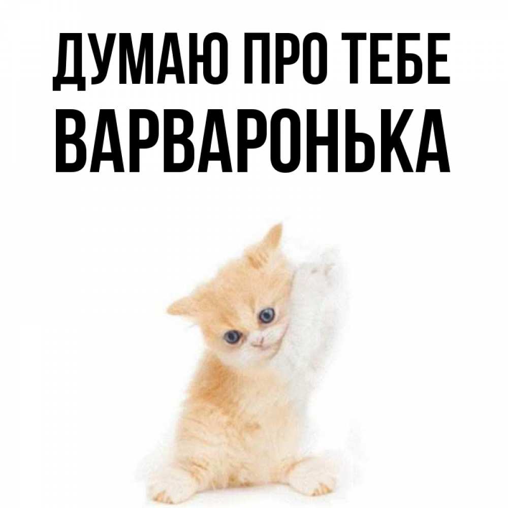 Открытка на каждый день з підписом, Варваронька Думаю про тебе зверушки и милота Прикольна листівка з побажанням онлайн скачати безкоштовно 
