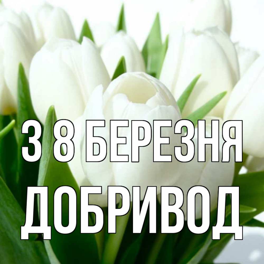 Открытка на каждый день з підписом, Добривод З 8 БЕРЕЗНЯ цветы Прикольна листівка з побажанням онлайн скачати безкоштовно 