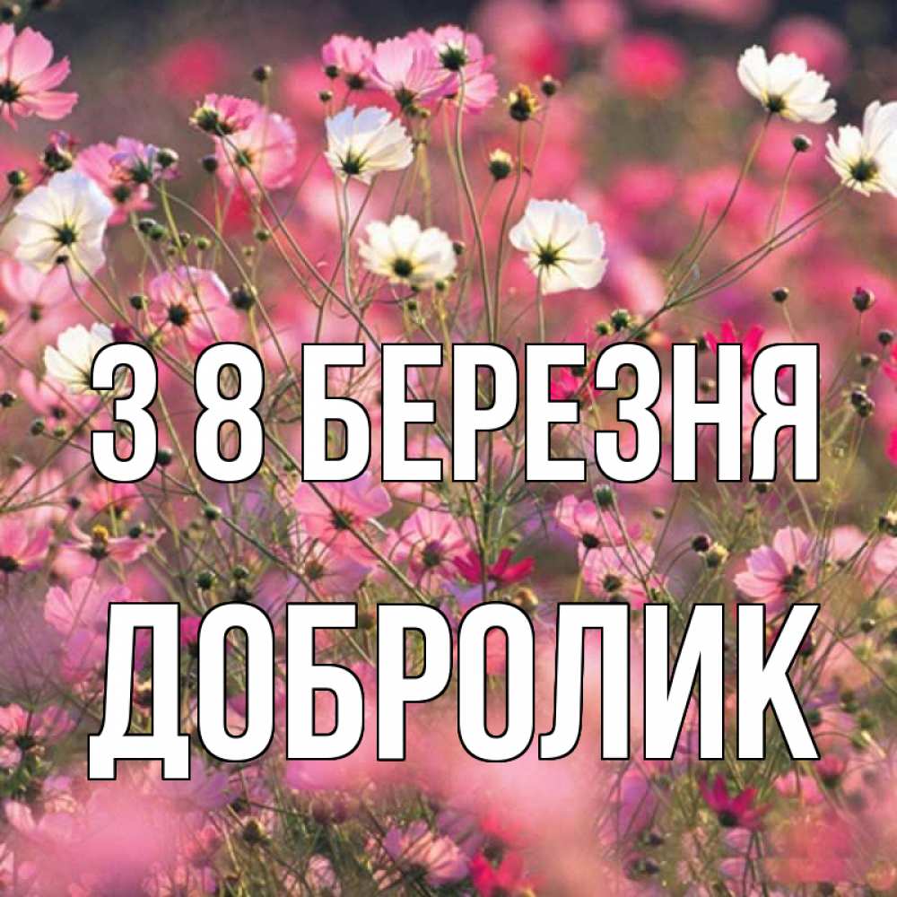 Открытка на каждый день з підписом, Добролик З 8 БЕРЕЗНЯ красиво 1 Прикольна листівка з побажанням онлайн скачати безкоштовно 