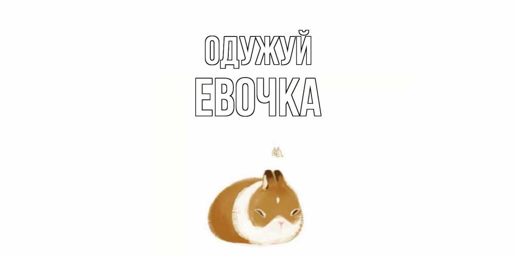 Открытка на каждый день з підписом, Евочка Одужуй морская свинка на открытке с пожеланиями не болеть Прикольна листівка з побажанням онлайн скачати безкоштовно 
