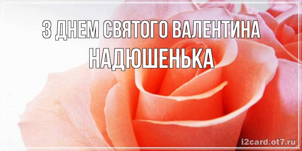 Открытка на каждый день з підписом, Надюшенька З Днем Святого Валентина открытка на день Святого Валентина с розовой розой Прикольна листівка з побажанням онлайн скачати безкоштовно 
