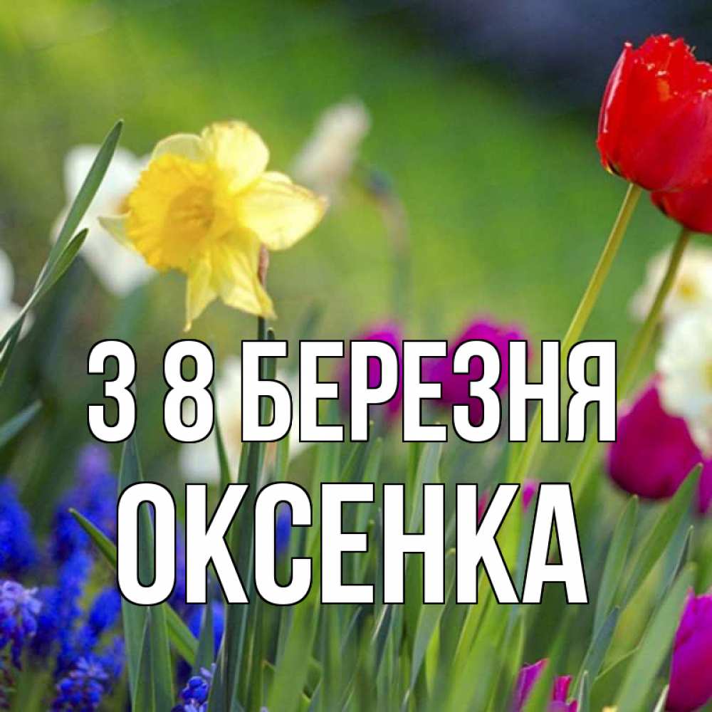 Открытка на каждый день з підписом, Оксенка З 8 БЕРЕЗНЯ международный женский день 3 Прикольна листівка з побажанням онлайн скачати безкоштовно 