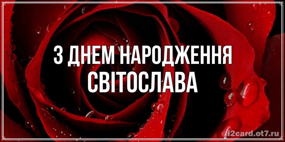 Открытка на каждый день з підписом, Світослава З Днем народження крупная бордовая роза Прикольна листівка з побажанням онлайн скачати безкоштовно 