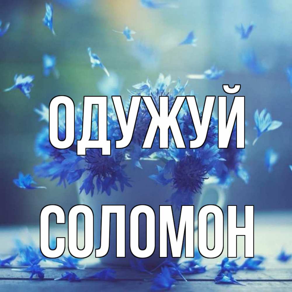 Открытка на каждый день з підписом, Соломон Одужуй кружка с зельем и цветами Прикольна листівка з побажанням онлайн скачати безкоштовно 