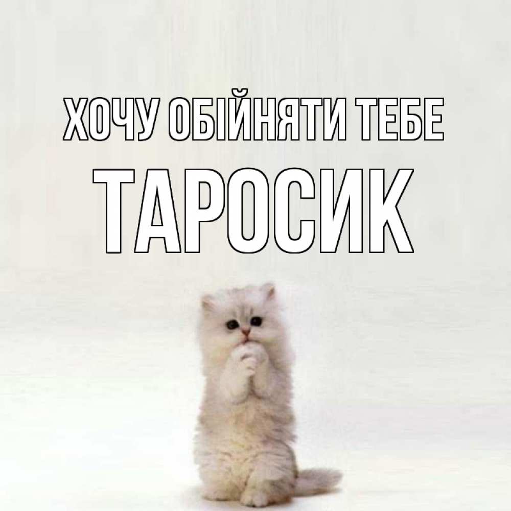 Открытка на каждый день з підписом, Таросик Хочу обійняти тебе открытки с креативными подписями Прикольна листівка з побажанням онлайн скачати безкоштовно 