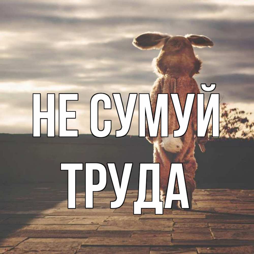 Открытка на каждый день з підписом, Труда Не сумуй со спины Прикольна листівка з побажанням онлайн скачати безкоштовно 