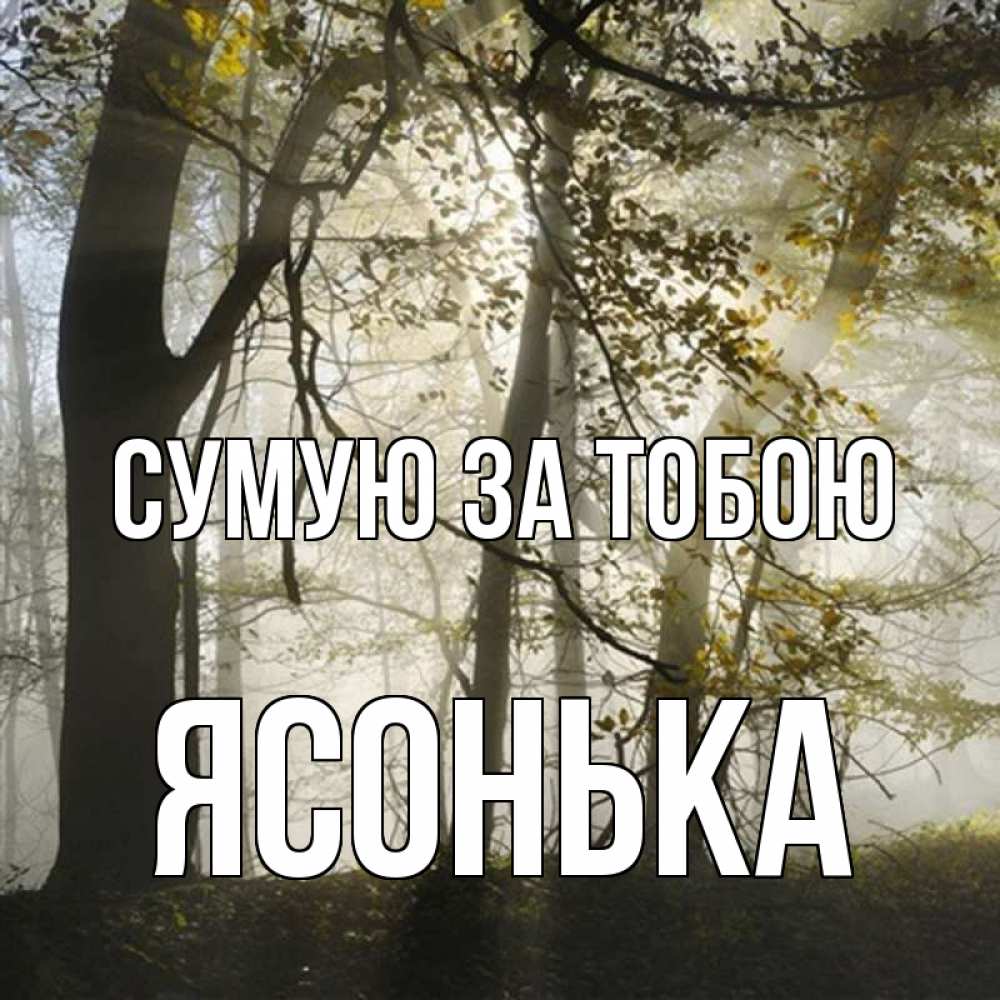 Открытка на каждый день з підписом, Ясонька Сумую за тобою грустно Прикольна листівка з побажанням онлайн скачати безкоштовно 