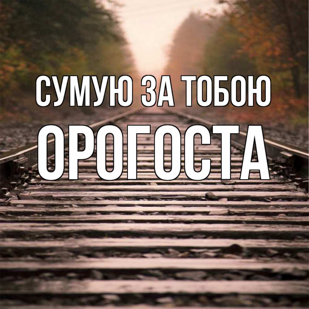 Открытка на каждый день з підписом, Орогоста Сумую за тобою приезжай Прикольна листівка з побажанням онлайн скачати безкоштовно 