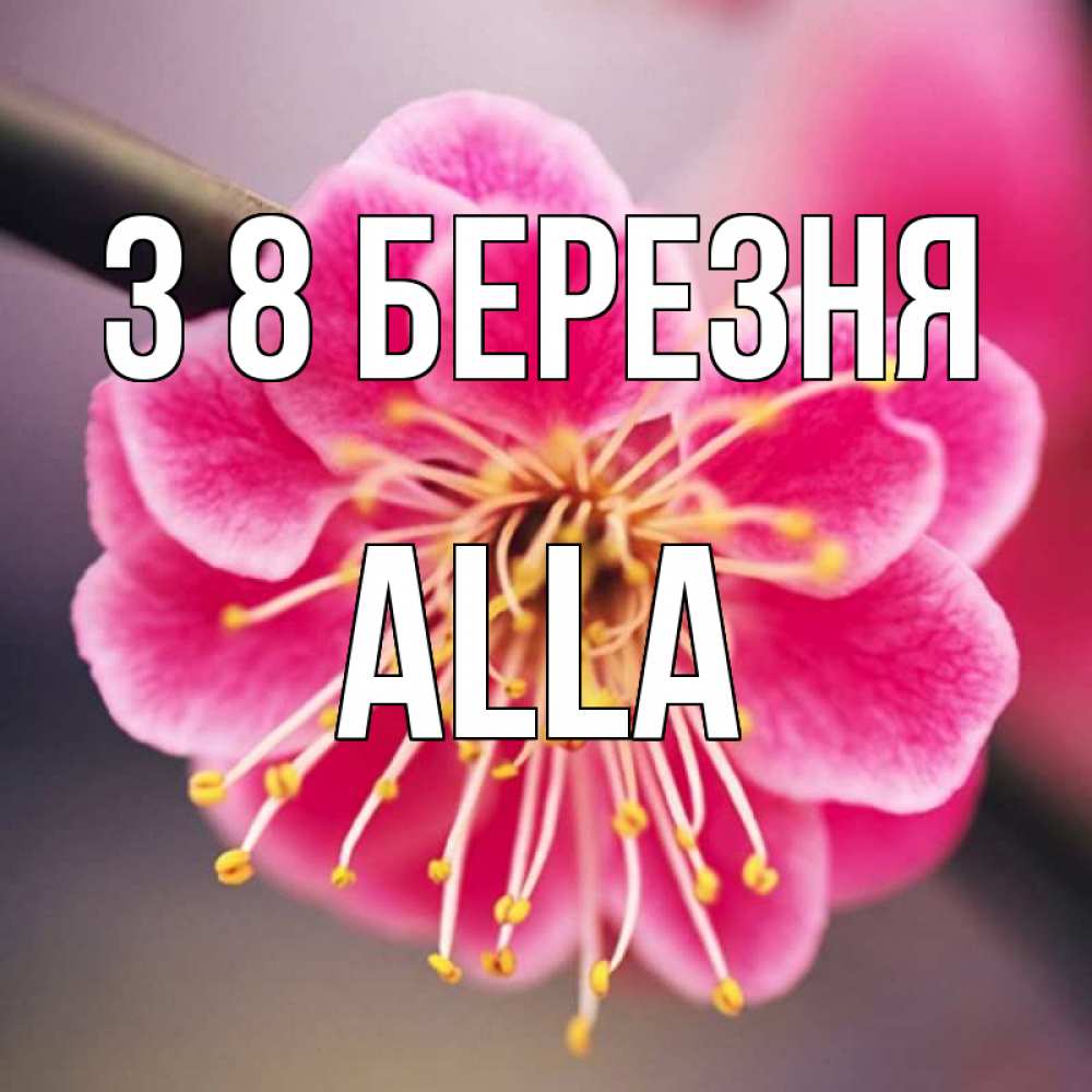 Открытка на каждый день з підписом, Alla З 8 БЕРЕЗНЯ цветы Прикольна листівка з побажанням онлайн скачати безкоштовно 