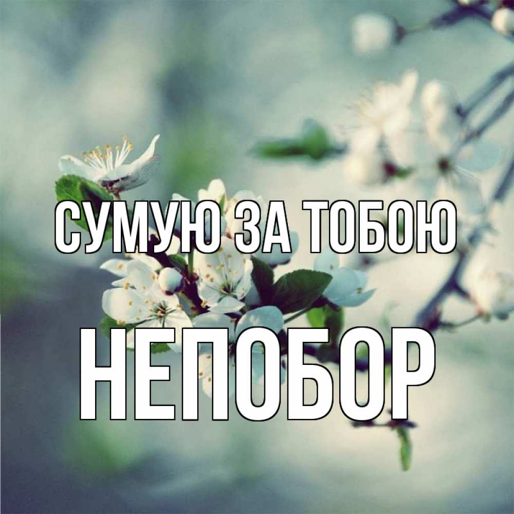Открытка на каждый день з підписом, Непобор Сумую за тобою весна Прикольна листівка з побажанням онлайн скачати безкоштовно 