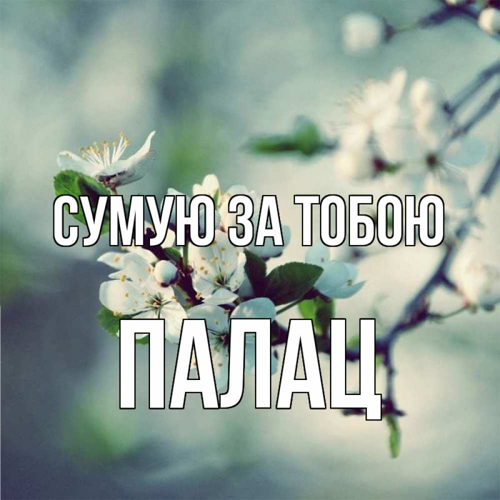 Открытка на каждый день з підписом, Палац Сумую за тобою весна Прикольна листівка з побажанням онлайн скачати безкоштовно 