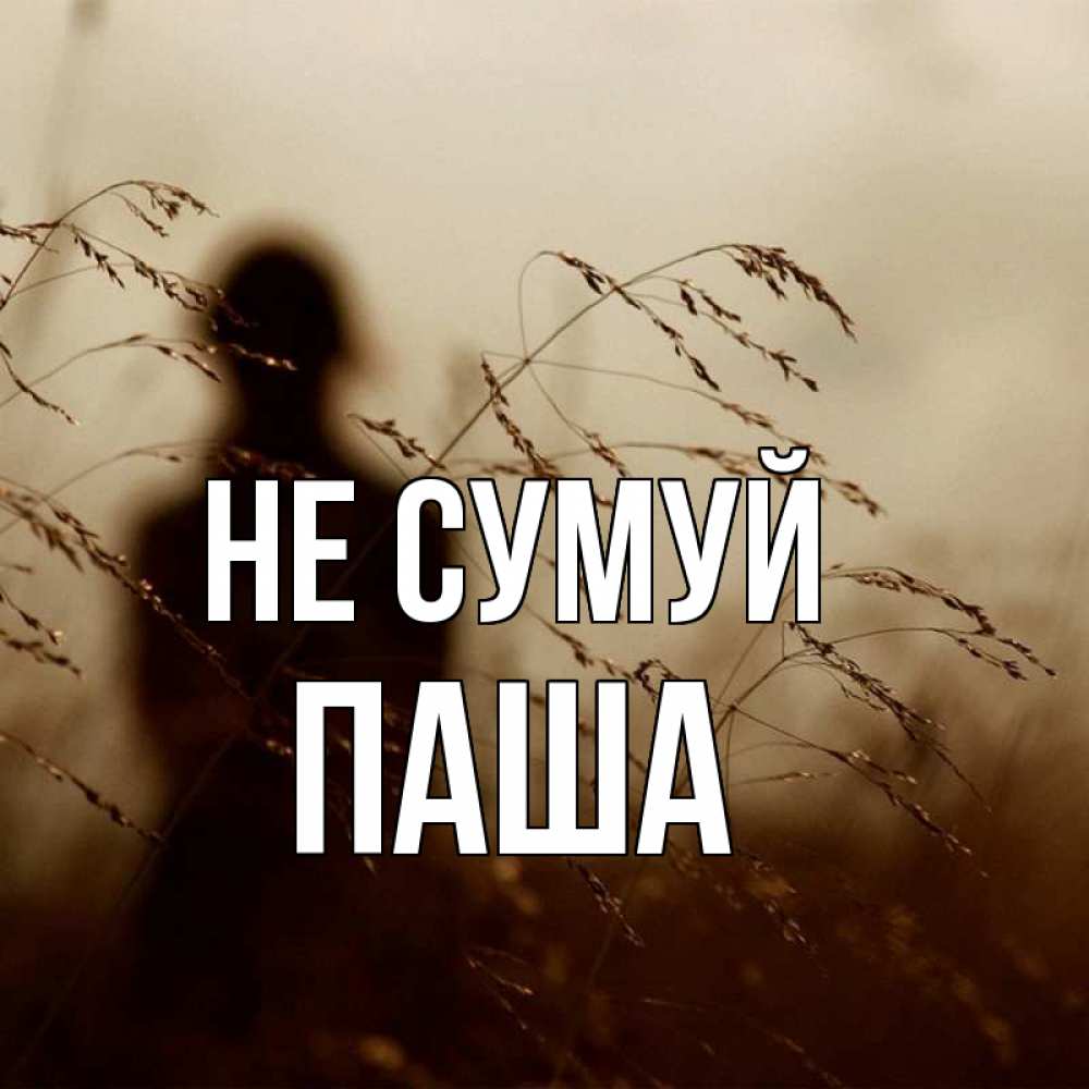 Открытка на каждый день з підписом, Паша Не сумуй грусть Прикольна листівка з побажанням онлайн скачати безкоштовно 