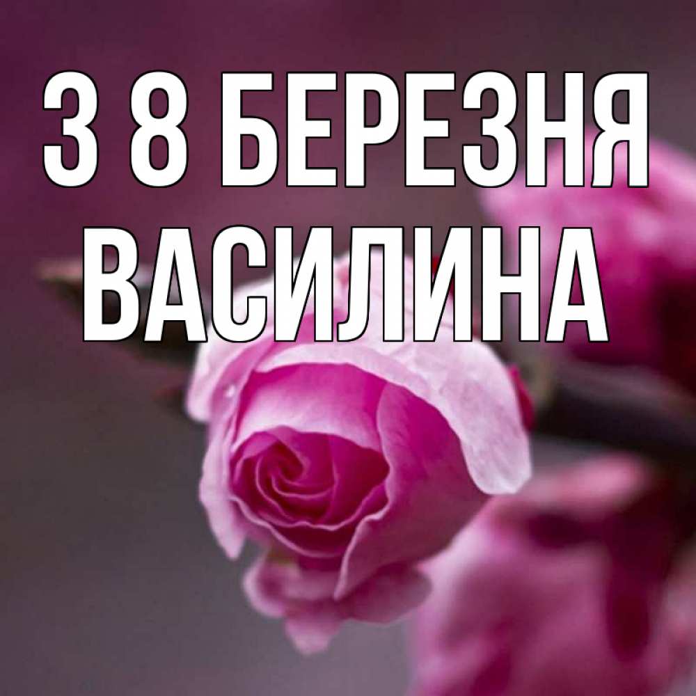 Открытка на каждый день з підписом, Василина З 8 БЕРЕЗНЯ весна Прикольна листівка з побажанням онлайн скачати безкоштовно 