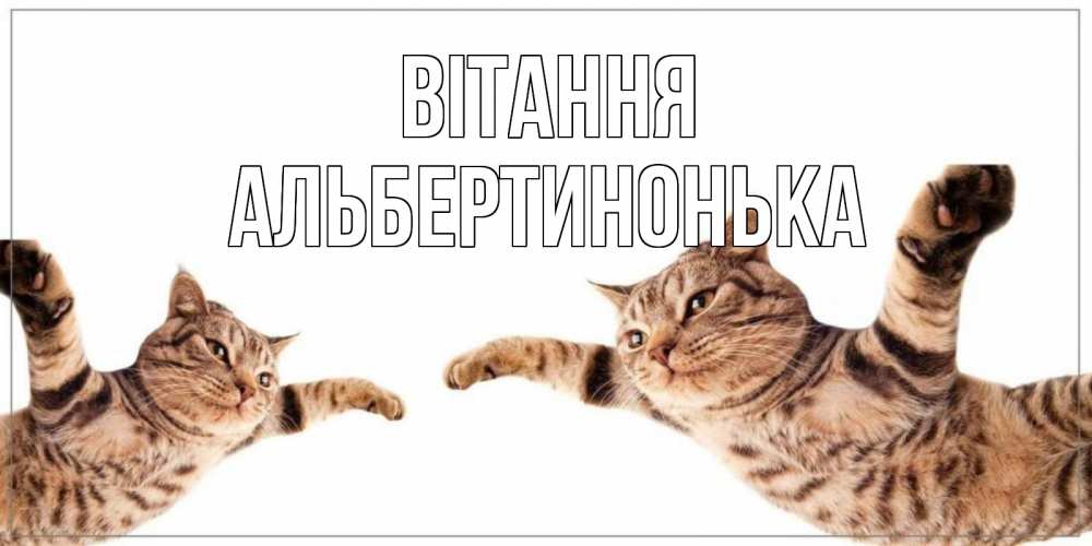Открытка на каждый день з підписом, Альбертинонька Вітання кот Прикольна листівка з побажанням онлайн скачати безкоштовно 