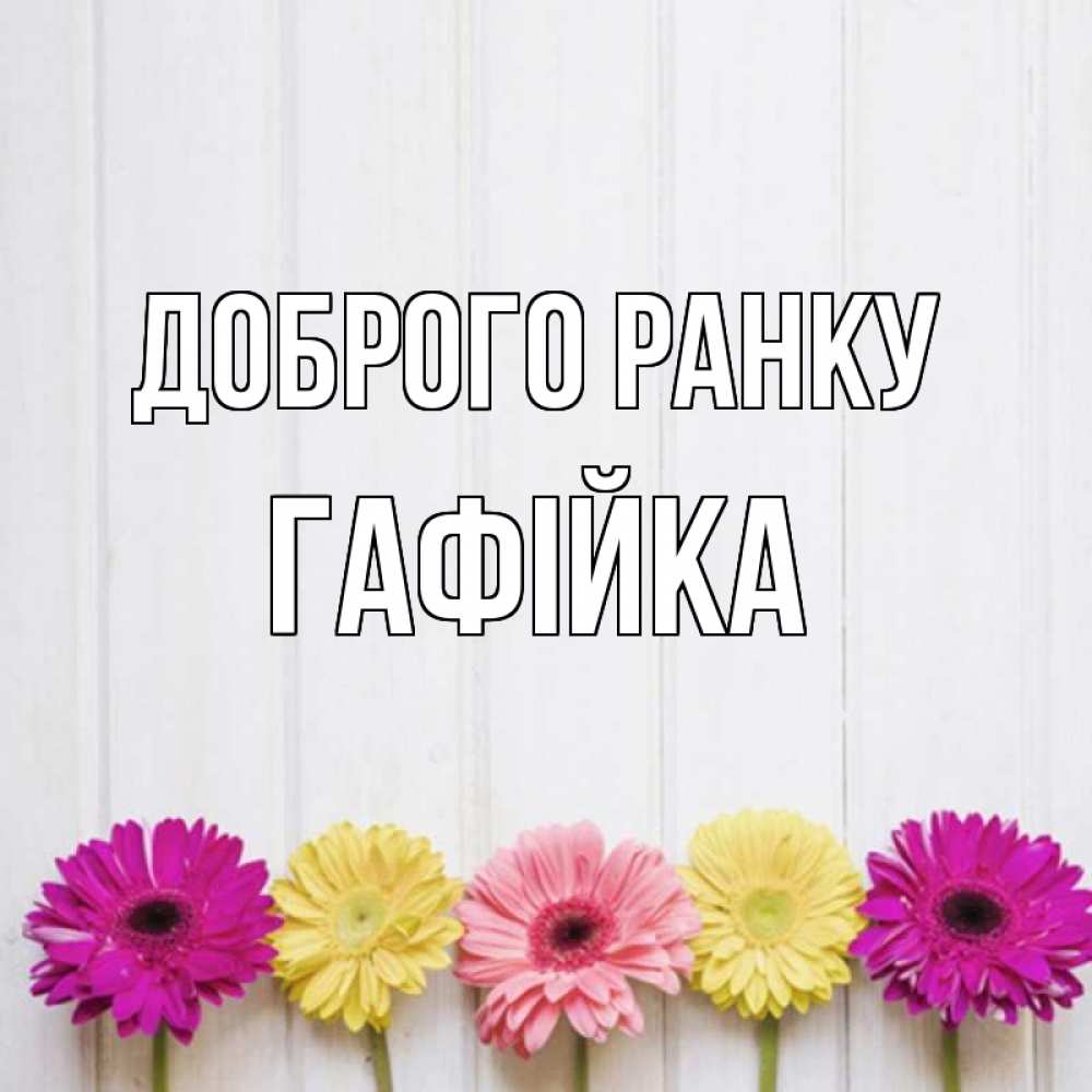 Открытка на каждый день з підписом, Гафійка Доброго ранку красный желтый и розовый цветок Прикольна листівка з побажанням онлайн скачати безкоштовно 
