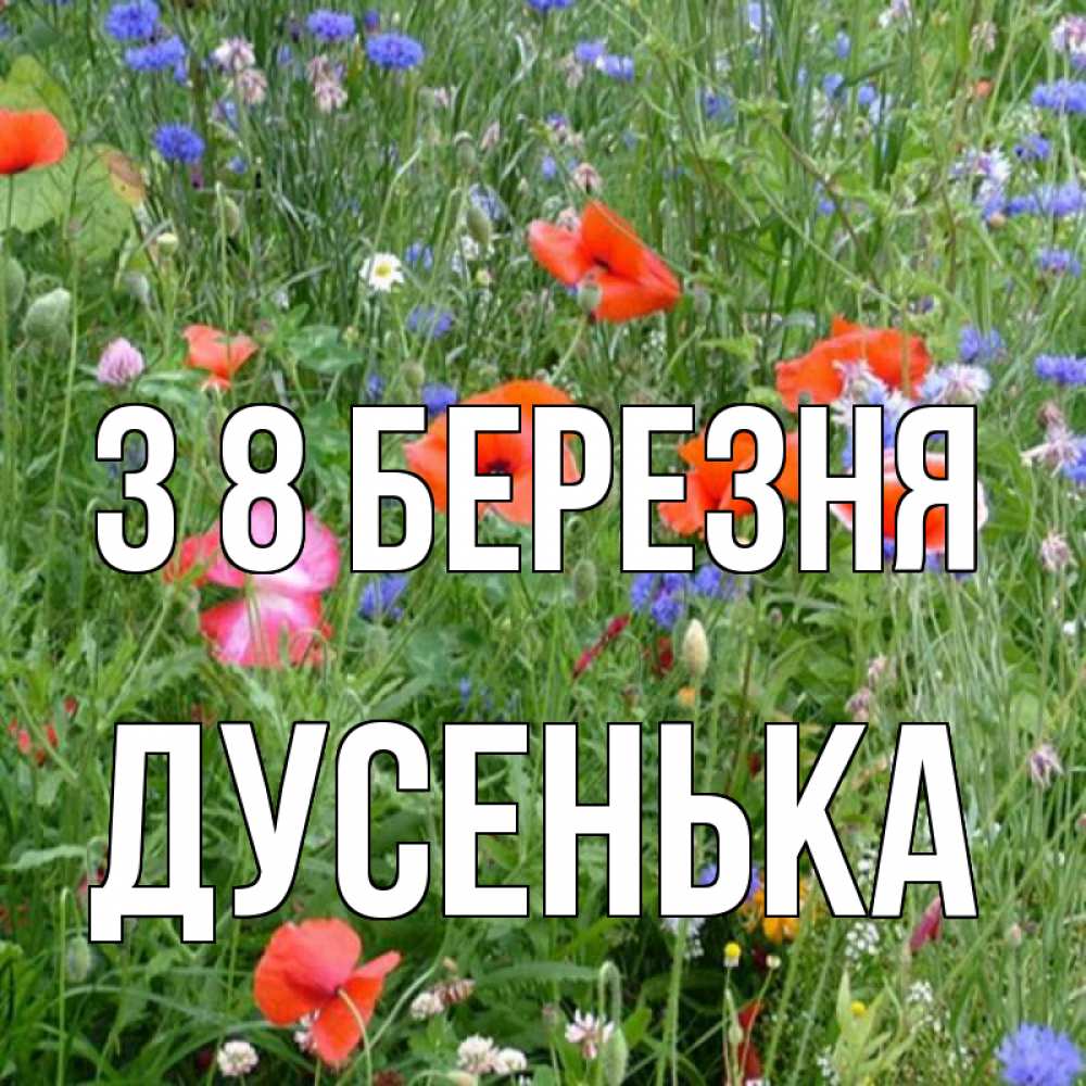 Открытка на каждый день з підписом, Дусенька З 8 БЕРЕЗНЯ международный женский день 4 Прикольна листівка з побажанням онлайн скачати безкоштовно 