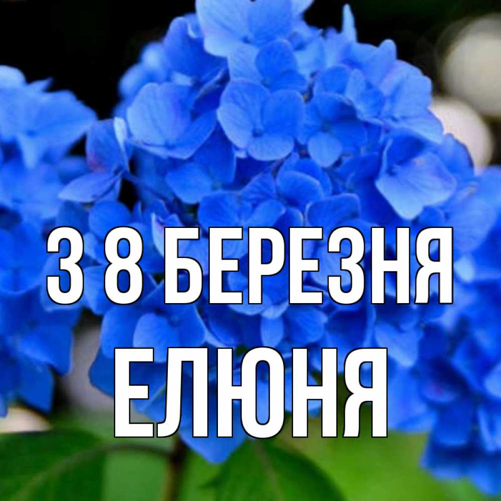 Открытка на каждый день з підписом, Елюня З 8 БЕРЕЗНЯ синие цветы Прикольна листівка з побажанням онлайн скачати безкоштовно 