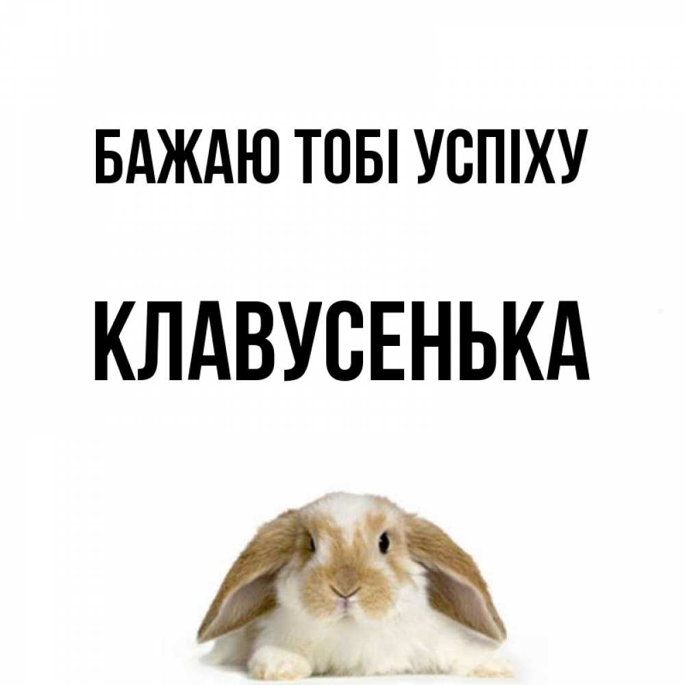 Открытка на каждый день з підписом, Клавусенька Бажаю тобі успіху открытки с произвольным текстом который можно вставить в открытку и создать ее самостоятельно бесплатно онлайн Прикольна листівка з побажанням онлайн скачати безкоштовно 
