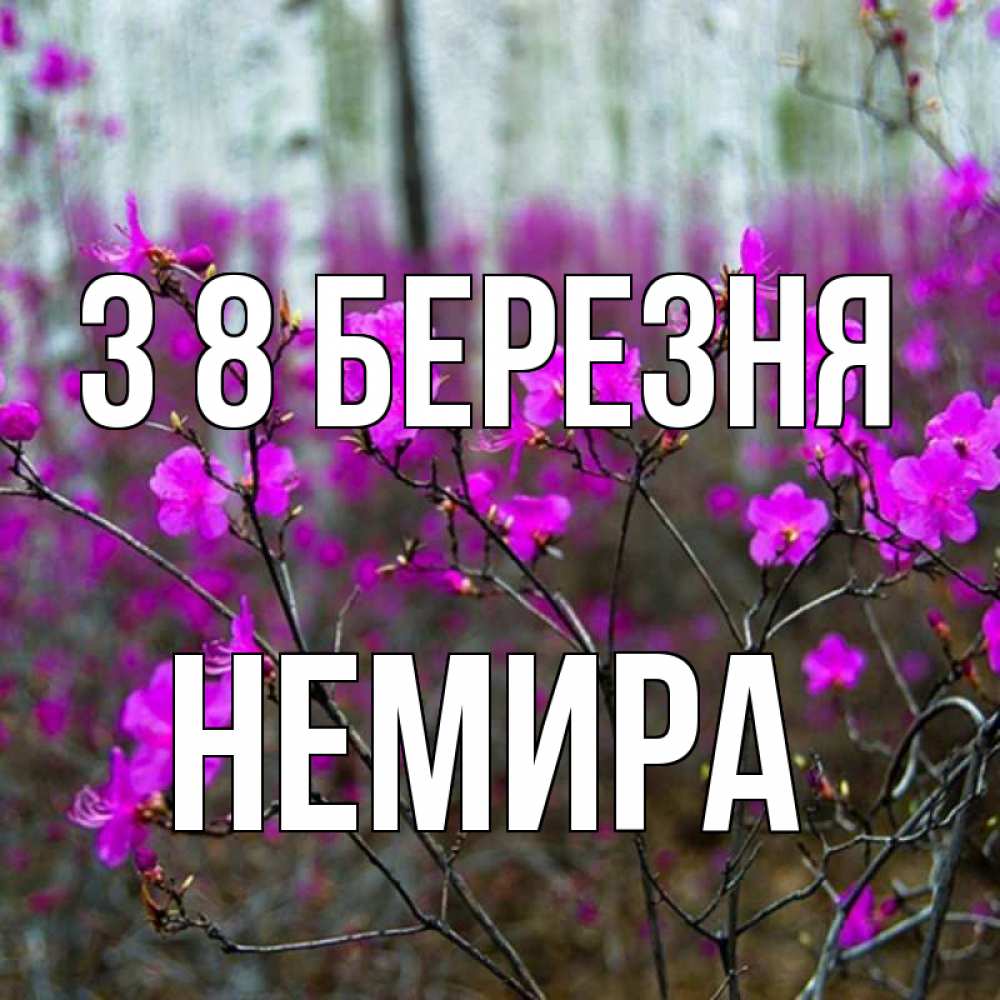 Открытка на каждый день з підписом, Немира З 8 БЕРЕЗНЯ дикие цветы Прикольна листівка з побажанням онлайн скачати безкоштовно 