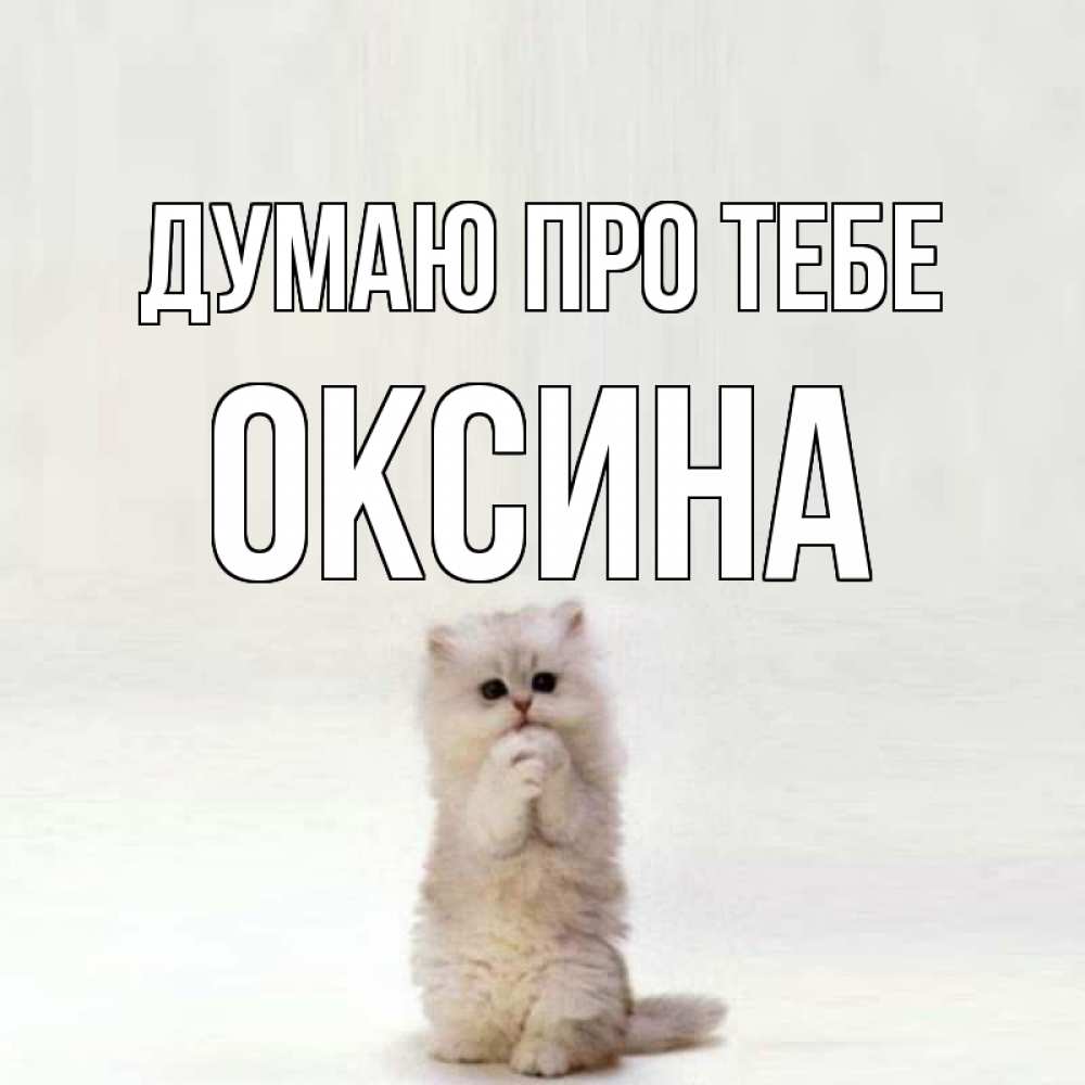 Открытка на каждый день з підписом, Оксина Думаю про тебе кот стоит на задних лапах Прикольна листівка з побажанням онлайн скачати безкоштовно 