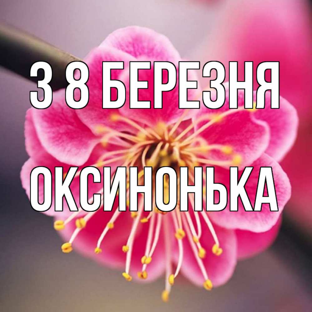 Открытка на каждый день з підписом, Оксинонька З 8 БЕРЕЗНЯ цветы Прикольна листівка з побажанням онлайн скачати безкоштовно 