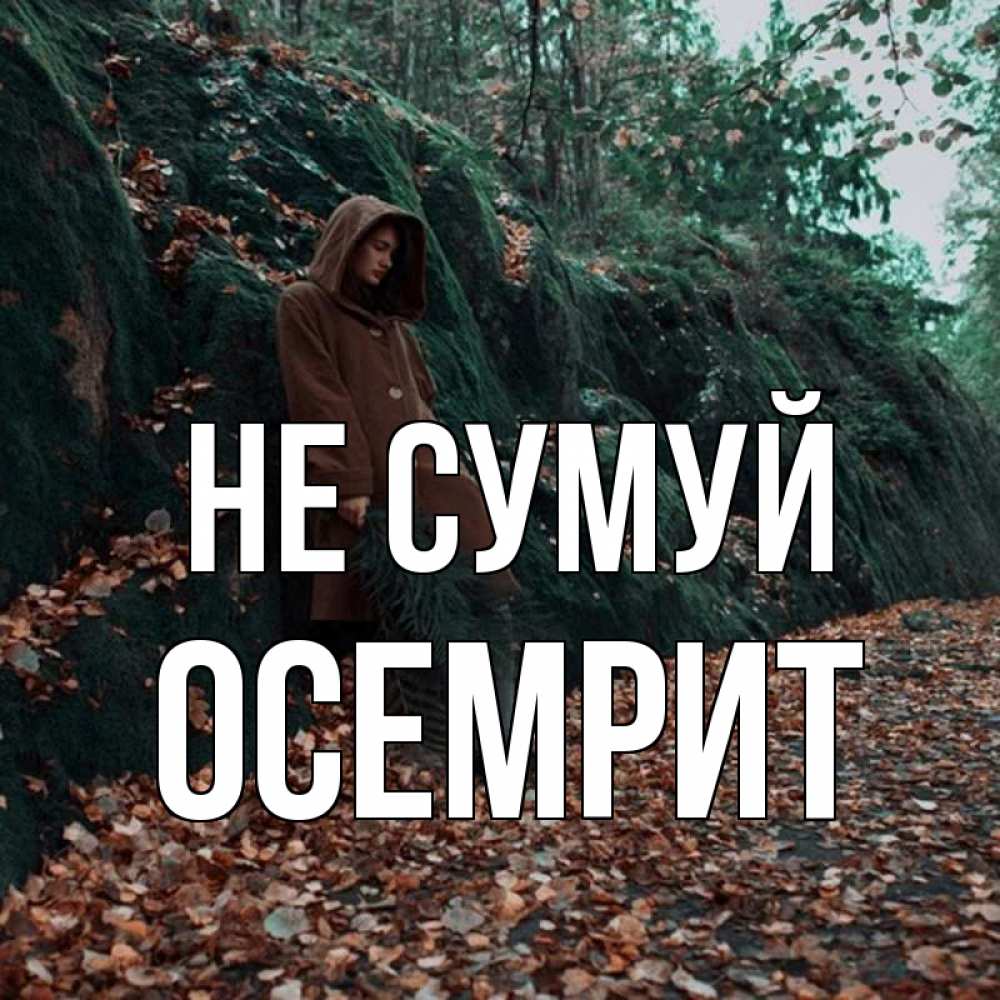 Открытка на каждый день з підписом, Осемрит Не сумуй осенний лес Прикольна листівка з побажанням онлайн скачати безкоштовно 