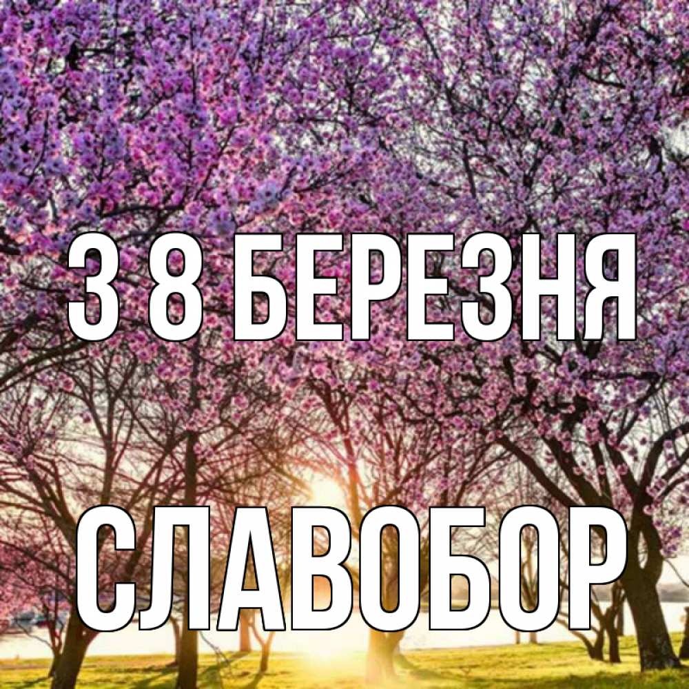 Открытка на каждый день з підписом, Славобор З 8 БЕРЕЗНЯ международный женский день Прикольна листівка з побажанням онлайн скачати безкоштовно 